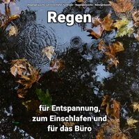 Regen für Entspannung, zum Einschlafen und für das Büro