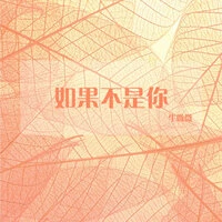 如果不是你
