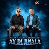 Ay Dl Bnala