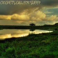 Cricket's Call for Sleep