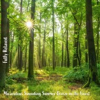Fully Relaxed: Miraculous Sounding Summer Breeze in the Forest