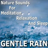 Gentle Rain - Nature Sounds for Meditation, Relaxation and Sleep