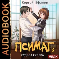 Ефанов Сергей. «Псимаг. Книга 3. Судьба Супера»