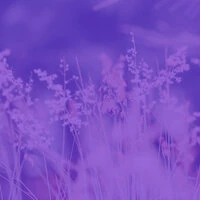 Hot Bgm for Complete Relaxation
