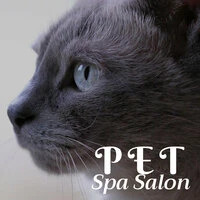 Pet Spa Salon - Relaxing Background Songs for Cat Grooming Session & Massage