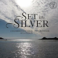 Set in Silver