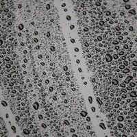 22 Soft Nature Sounds for a Rainy Evening