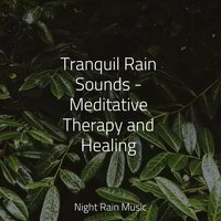 Tranquil Rain Sounds - Meditative Therapy and Healing