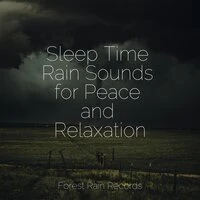 Sleep Time Rain Sounds for Peace and Relaxation