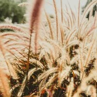 Chill Out Collection | Meditation