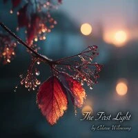 The First Light