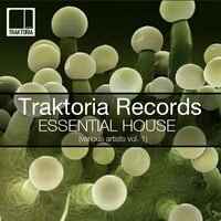 Essential House, Vol. 1