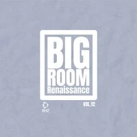 Big Room Renaissance, Vol. 12