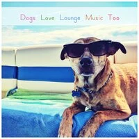 Dogs Love Lounge Music Too