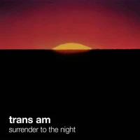 Surrender To The Night