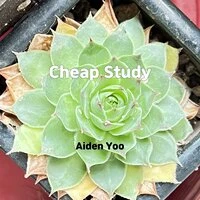 Cheap Study