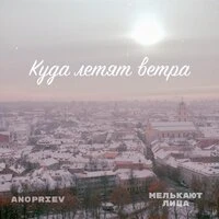 Куда летят ветра