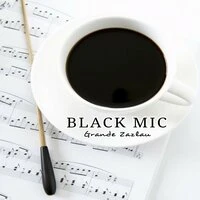 BLACK MIC