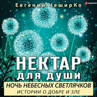 Евгений ЧеширКо. «Ночь Небесных Светлячков. Истории о Добре и Зле»