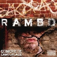 Concrete Camouflage