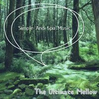 Simple And Spa Music