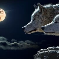 Moonlight