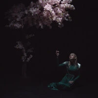 As the Light Left