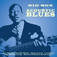 Big Box of Acoustic Blues Vol. 1