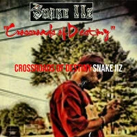 Crossroads of Destiny