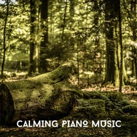 Calming Piano Music For A Peaceful Mind