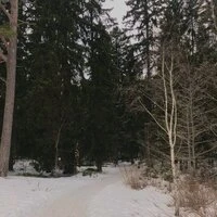 Холодно