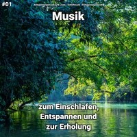 #01 Musik zum Einschlafen, Entspannen und zur Erholung