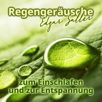 Regengeräusche zum Einschlafen und Durchschlafen