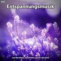 #01 Entspannungsmusik zum Beruhigen, Einschlafen und für den Geist