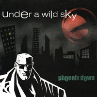 Under a Wild Sky