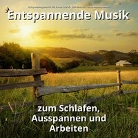 Entspannende Musik zum Schlafen, Ausspannen und Arbeiten