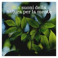 Mix suoni della natura per la mente