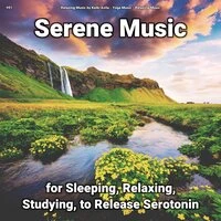 #01 Serene Music for Sleeping, Relaxing, Studying, to Release Serotonin