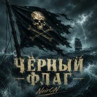 Чёрный флаг
