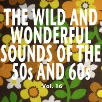The Wild and Wonderful Sounds of the 50s and 60s, Vol. 16
