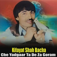 Che Yadgaar Ta De Za Goram