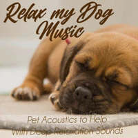 Relax My Dog Music: Pet Acoustics to Help With Deep Relaxation Sounds