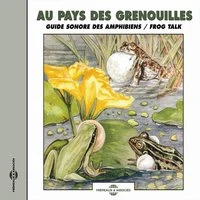 Au pays des grenouilles