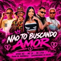 Não Tô Buscando Amor