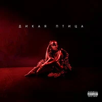 Дикая Птица