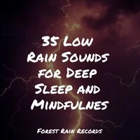 35 Low Rain Sounds for Deep Sleep and Mindfulness