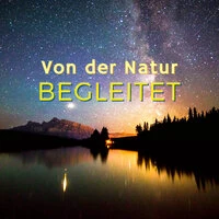 Von der Natur Begleitet: Entspannende Musik mit Naturgeräuschen, um sich Gelassen und in Harmonie mit der Welt zu Fühlen