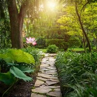 Echoes Beneath The Music Of Relaxation