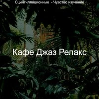 Сцинтилляционные - Чувство изучение