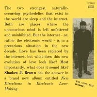 New Directions in Electronic Love-Making